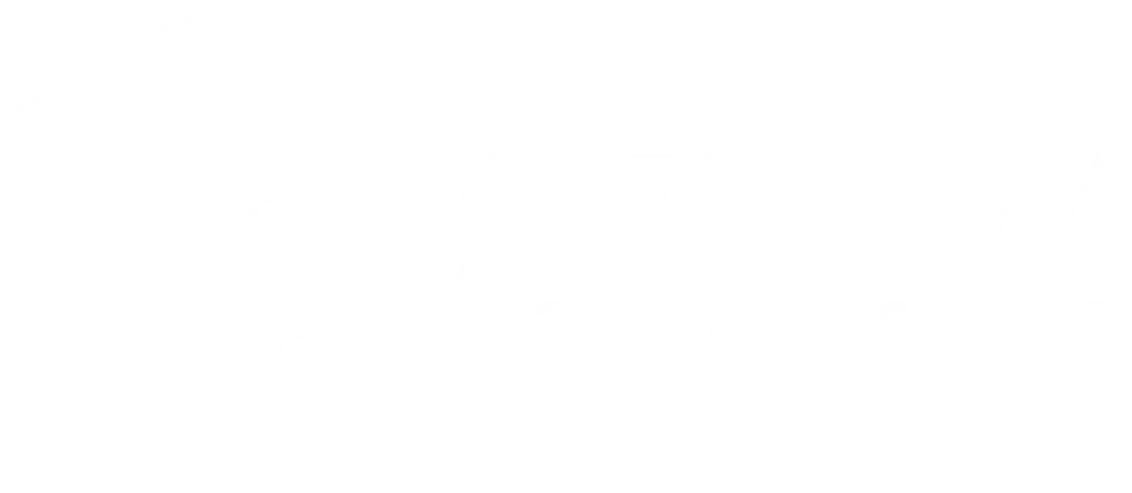 Sychem Polymers LLC official logo